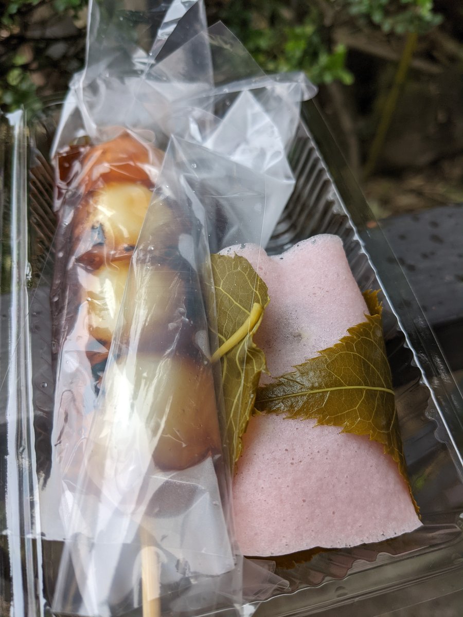 Sugamo Street Food Find, Tokyo April photo 2