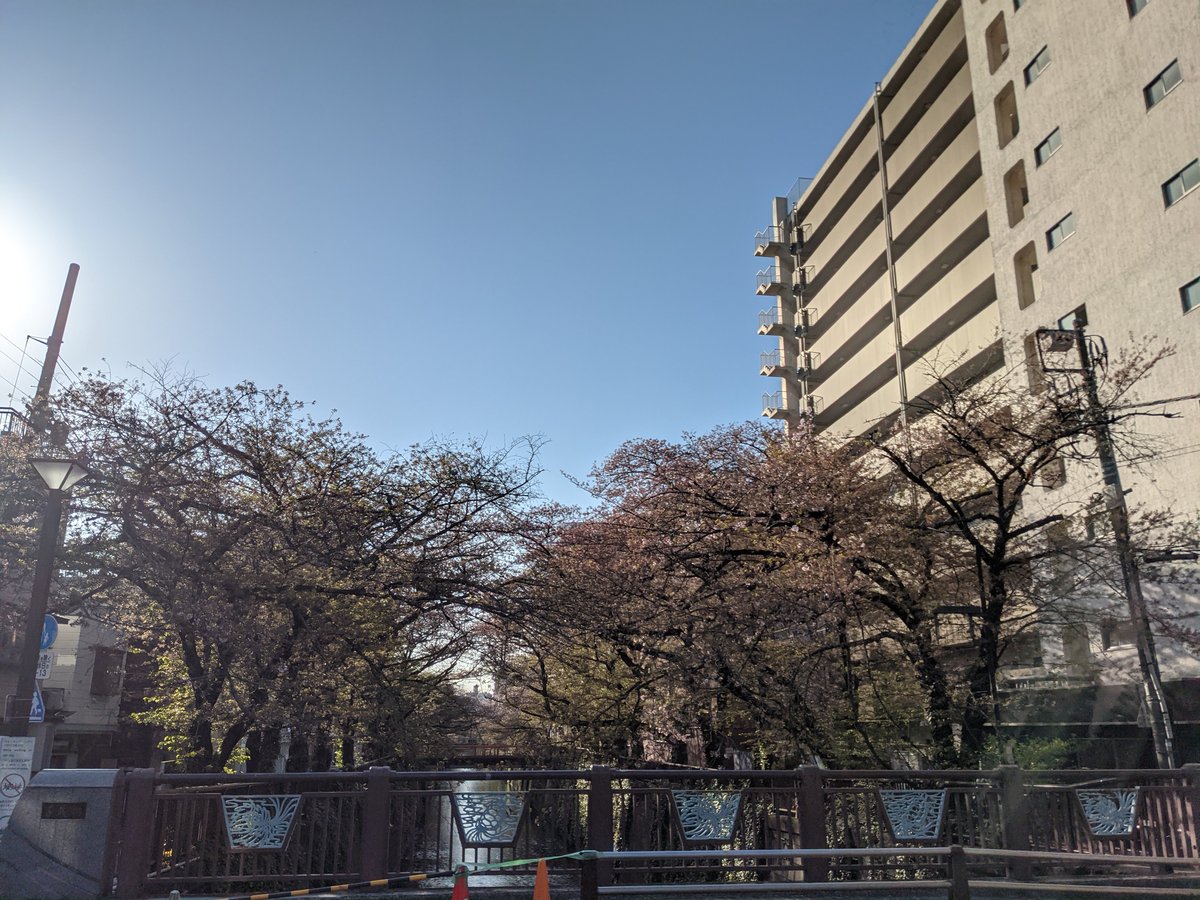 Spring River Walk Through Aobadai, Meguro
