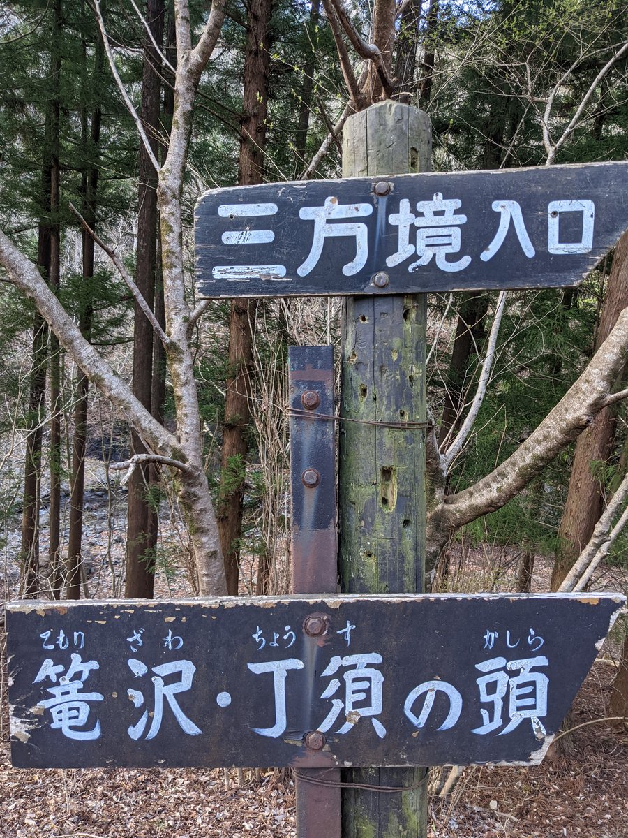 Cherry Blossoms in Annaka, Gunma — Spring Light photo 3