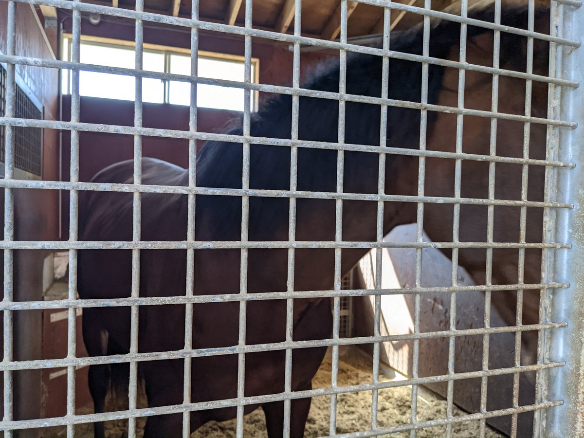 Spring Farm Visit in Tomakomai, Hokkaido
