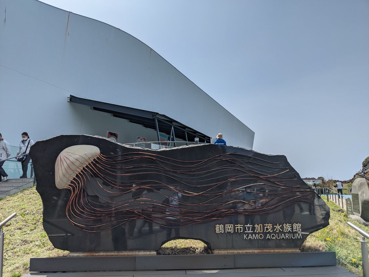 Kamo Aquarium, Tsuruoka — Spring Visit to Yamagata's Hidden Gem