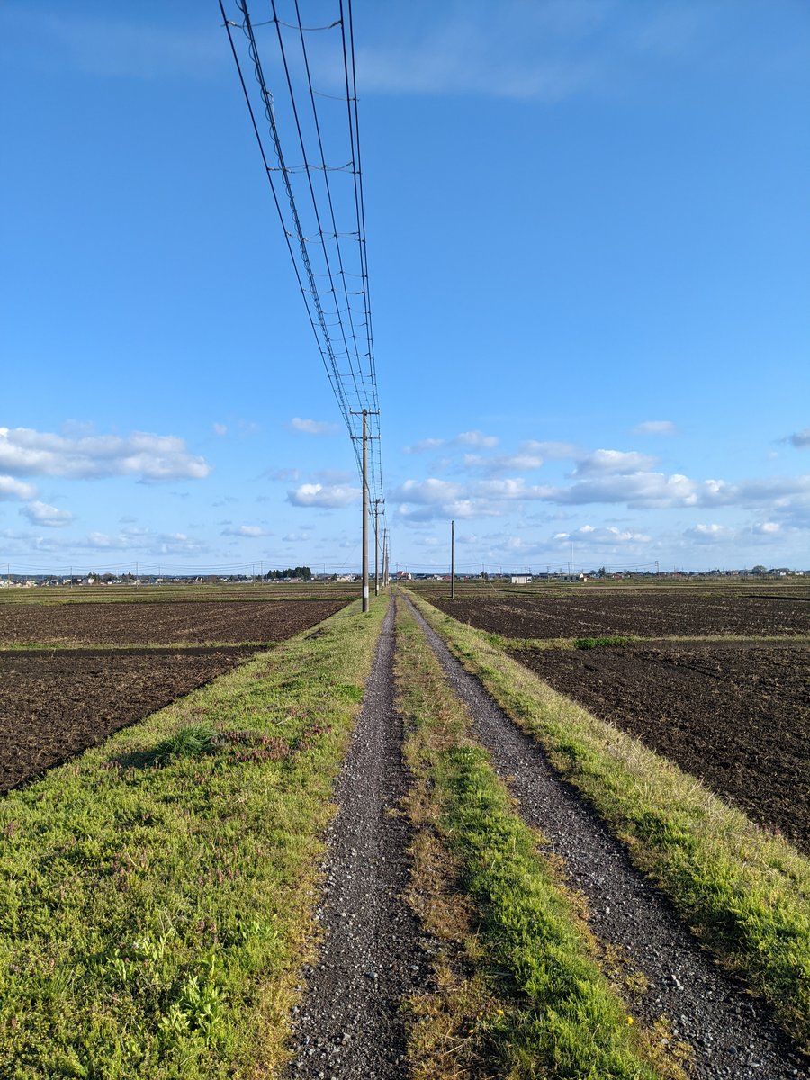 Rural Road Through Oga's Rice Fields, Akita