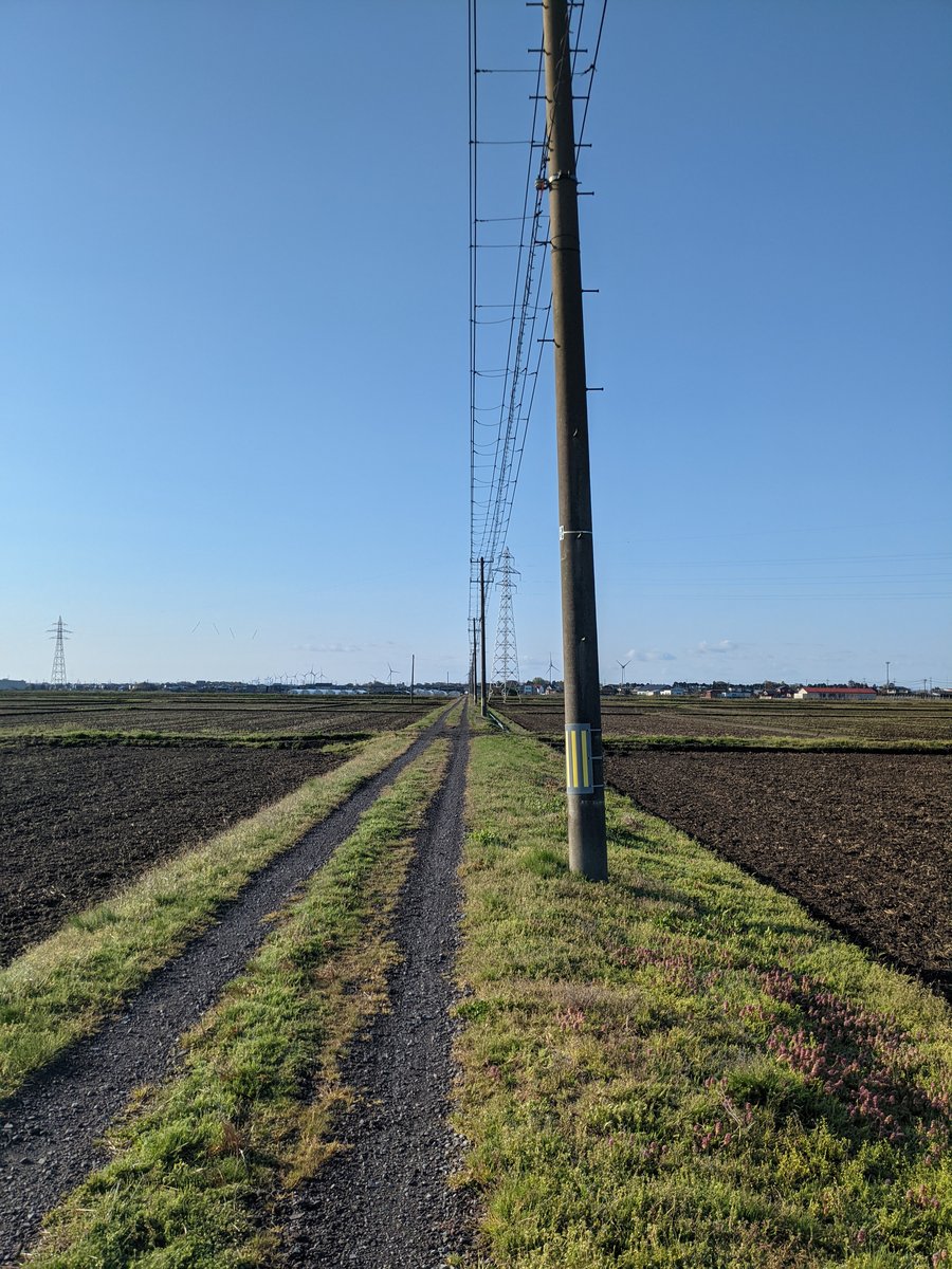 Rural Roads Through Oga's Rice Fields, Akita
