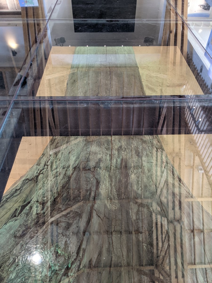 Futatsuimachi-Kotsunagi Museum, Noshiro Akita photo 7