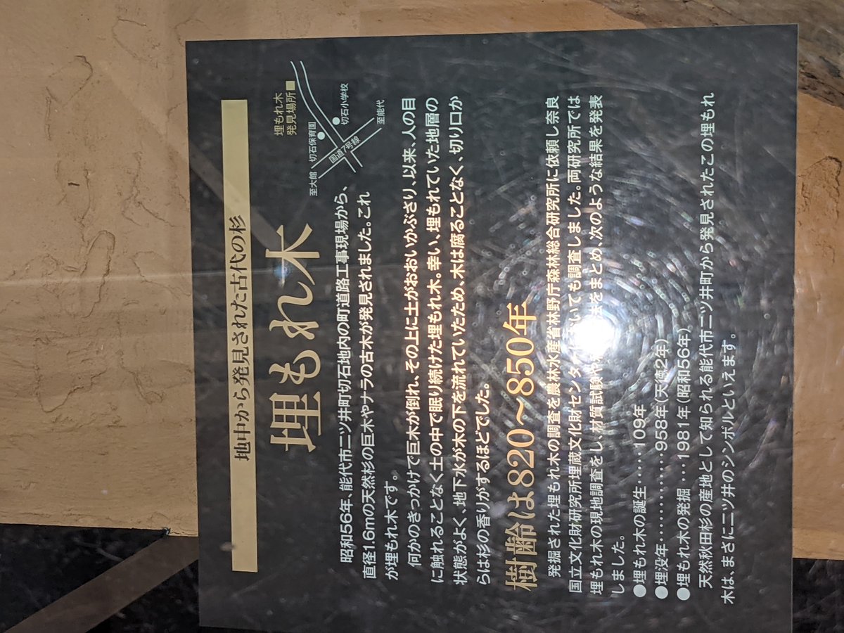 Futatsuimachi-Kotsunagi Museum, Noshiro Akita photo 6