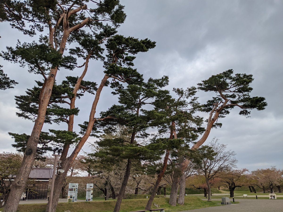 Goryokaku's Hidden Temple, Hakodate, Hokkaido photo 2