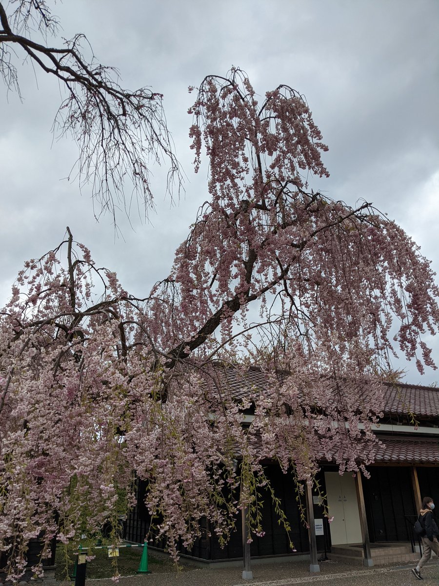 Goryokaku's Hidden Temple, Hakodate, Hokkaido photo 3