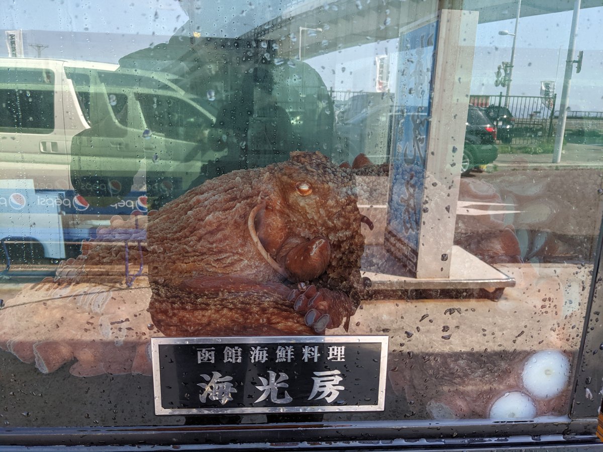 Hakodate Morning Market & Historic Red Brick, Hokkaido photo 6