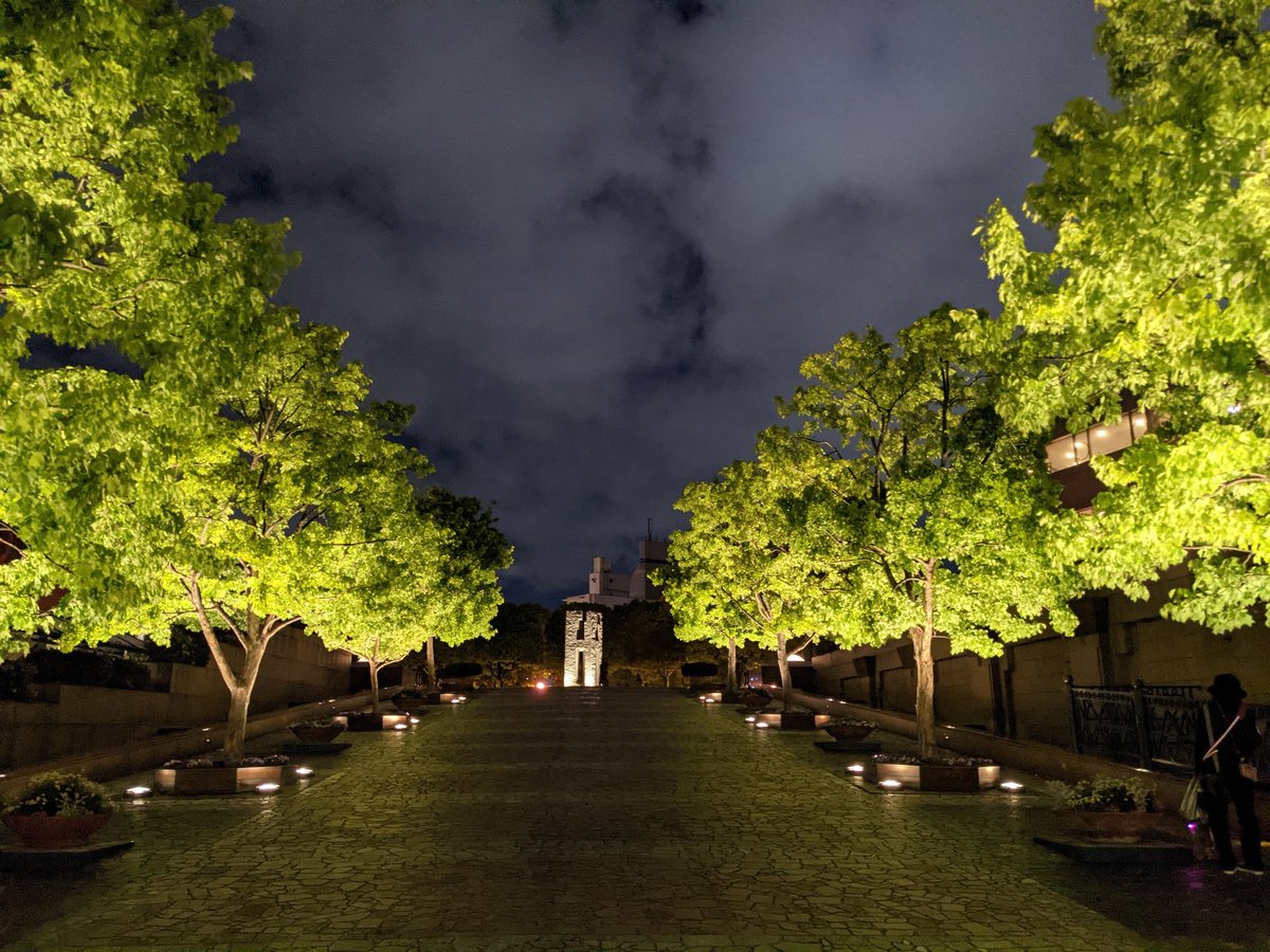 Night Garden at Ebisu, Shibuya — Tokyo's Hidden Gem