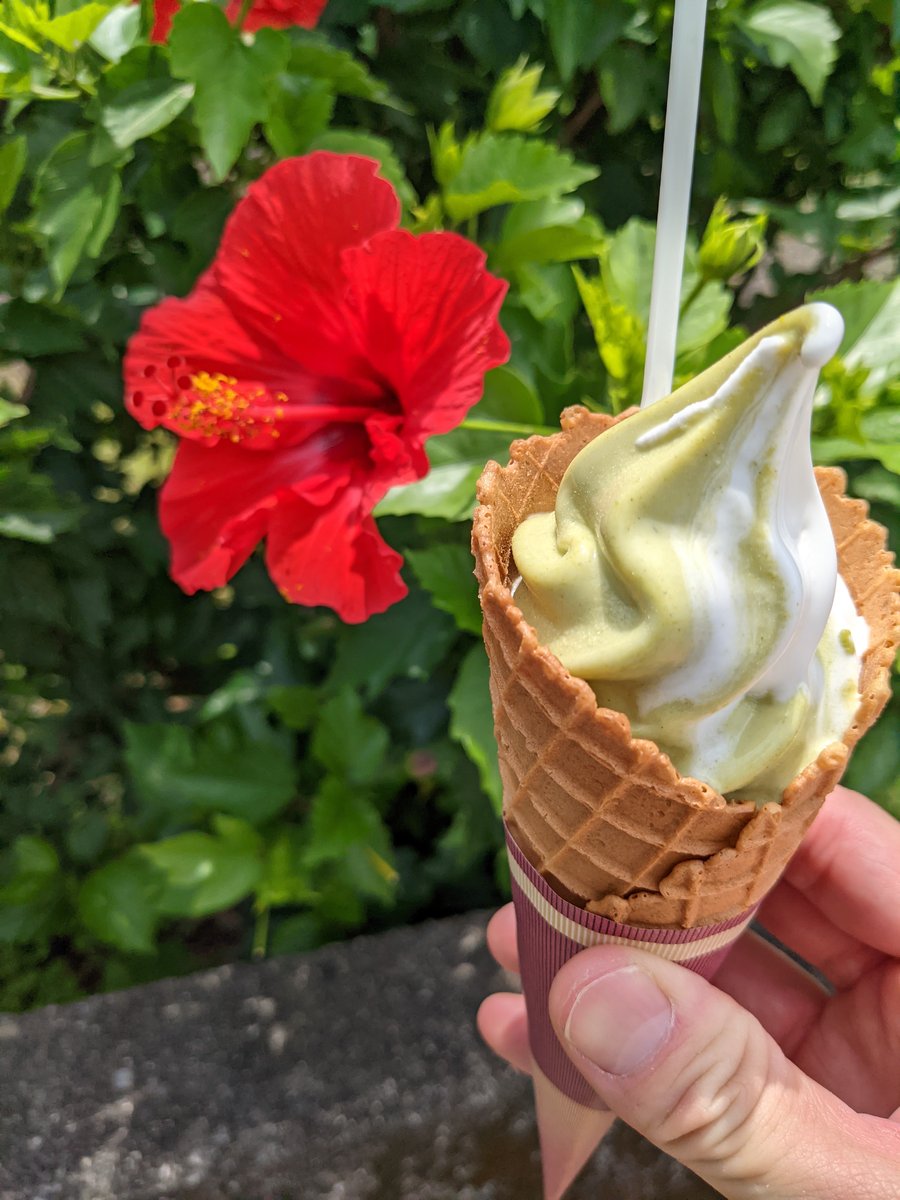 Summer Soft Serve at Yōmei-ga-hara, Hachijōjima