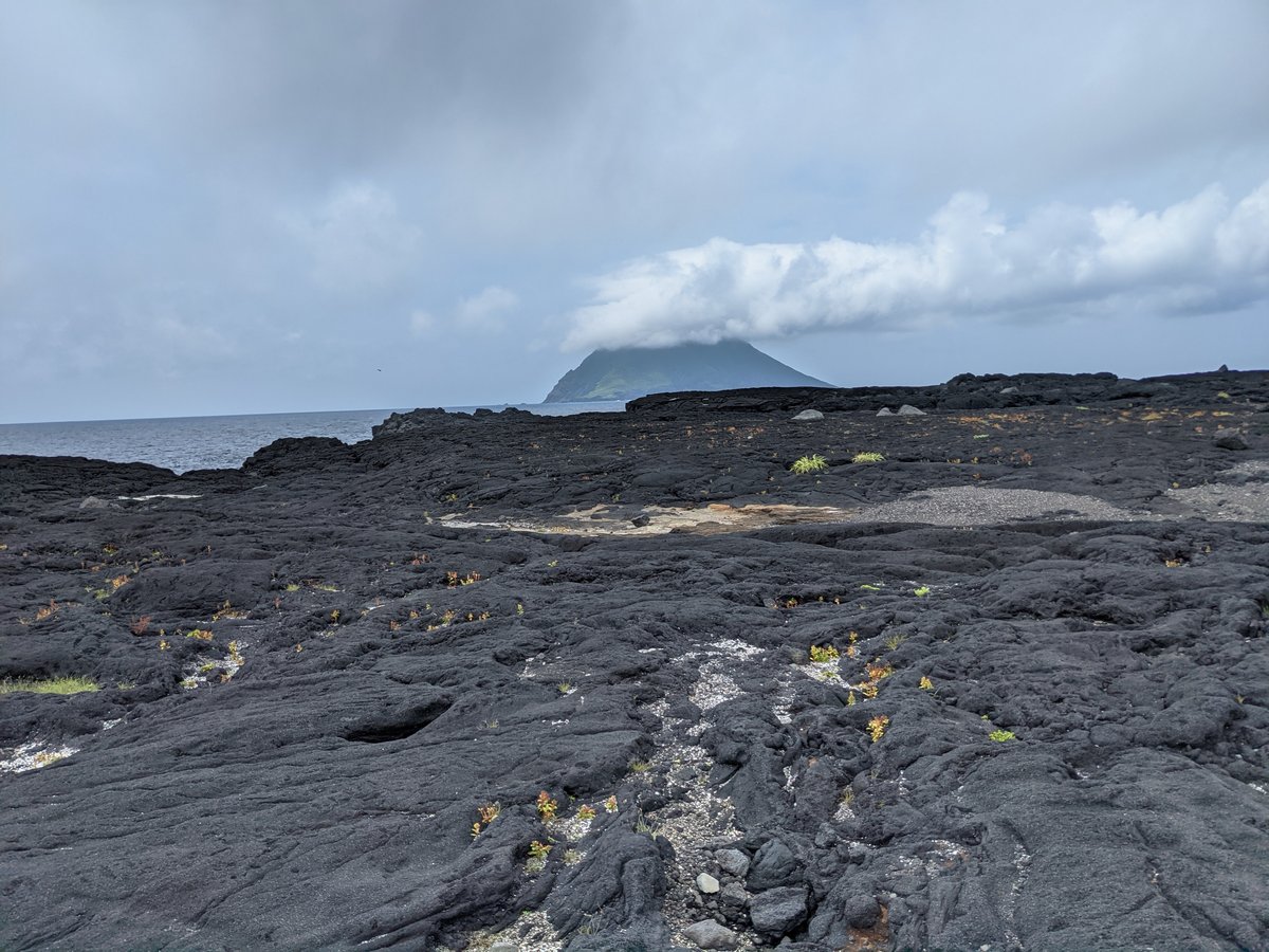 Volcanic Coastline of Hachijōjima, Tokyo photo 2