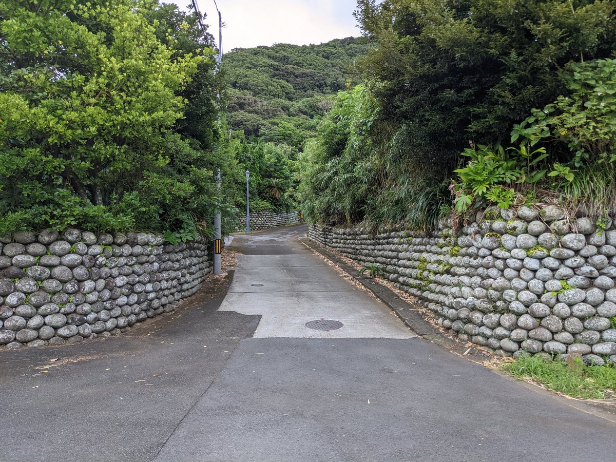Stone-Walled Country Road, Hachijōjima Island