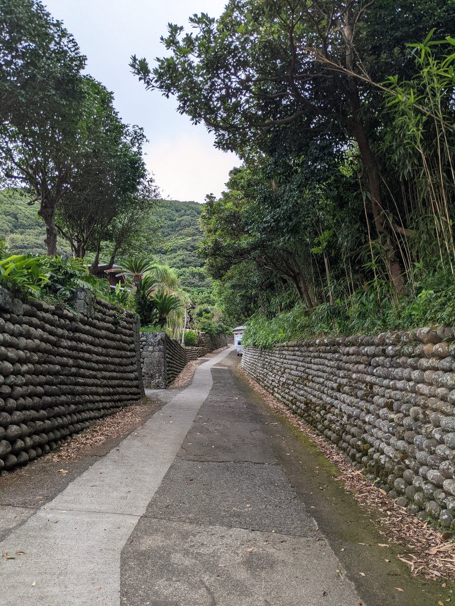 Stone-Walled Country Road, Hachijōjima Island photo 2