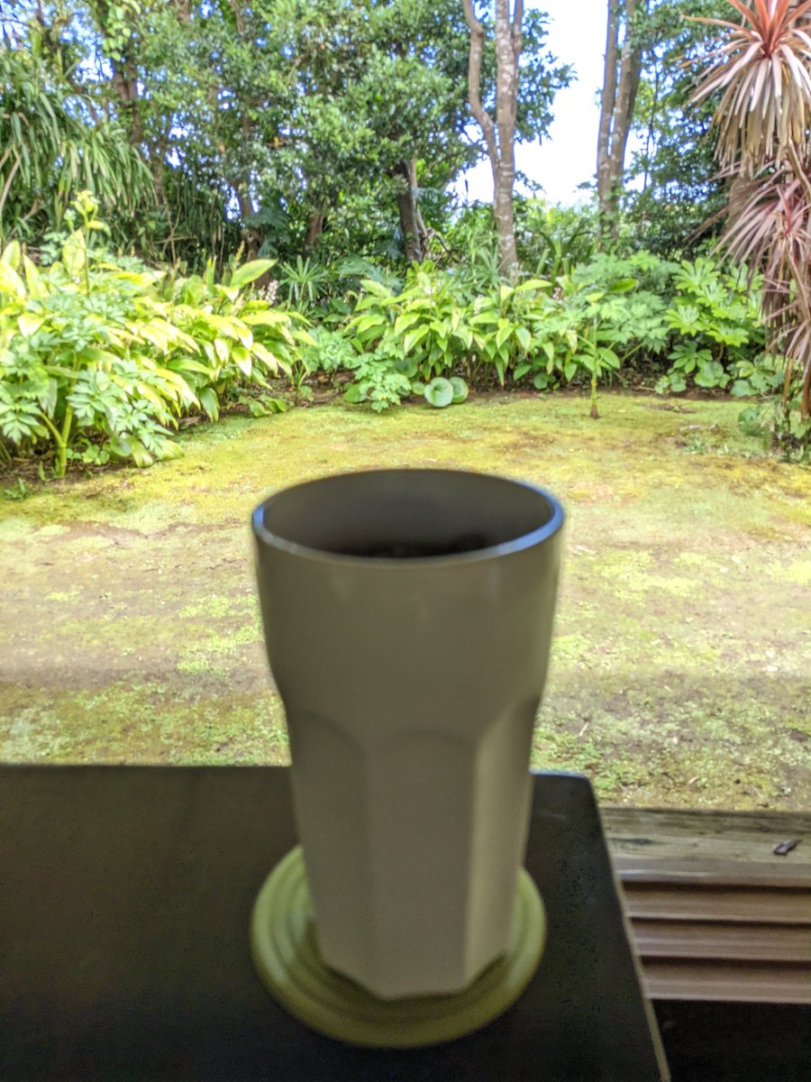 Tropical Garden View, Hachijōjima Island Tokyo photo 4