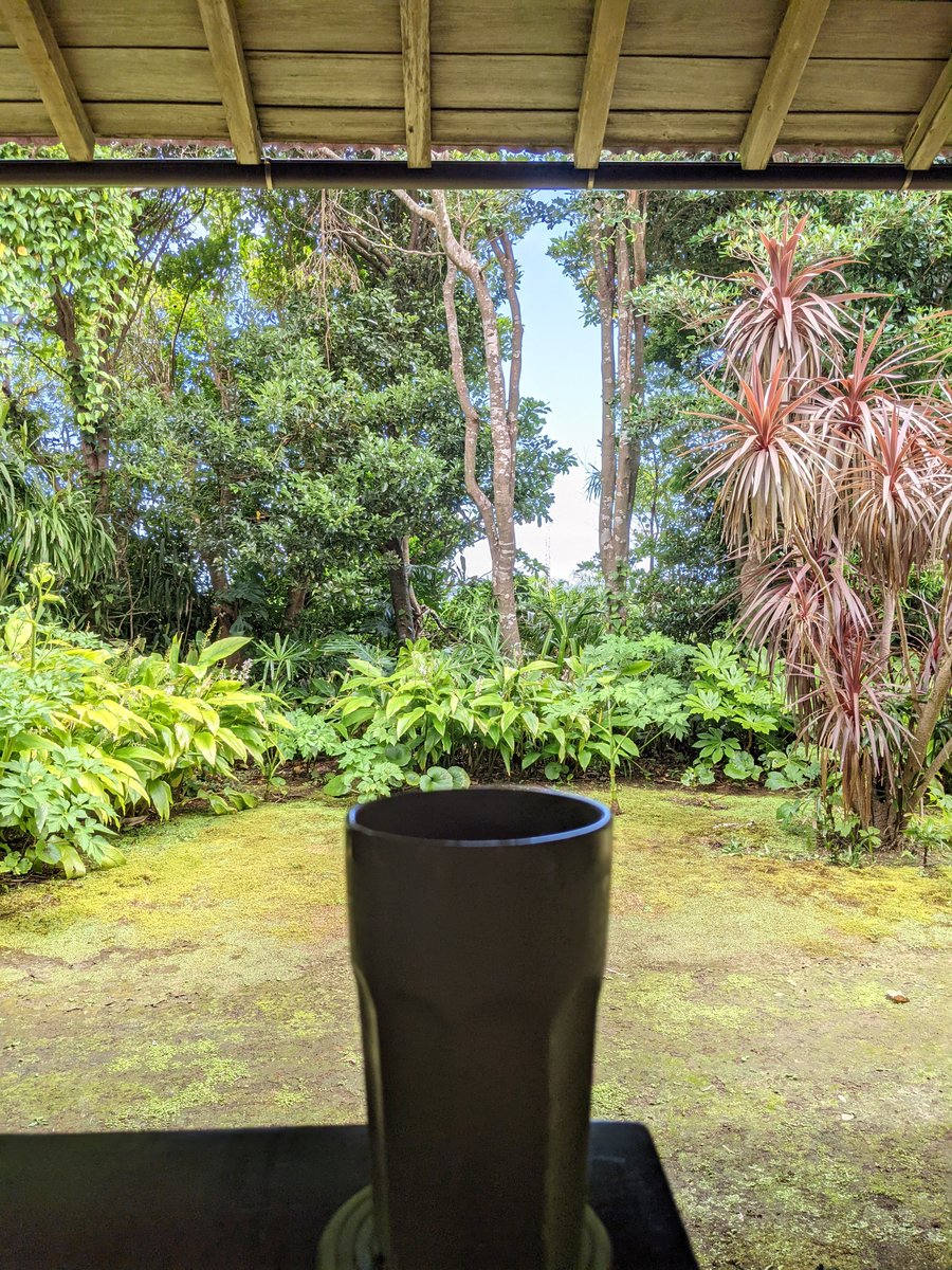 Tropical Garden View, Hachijōjima Island Tokyo photo 5