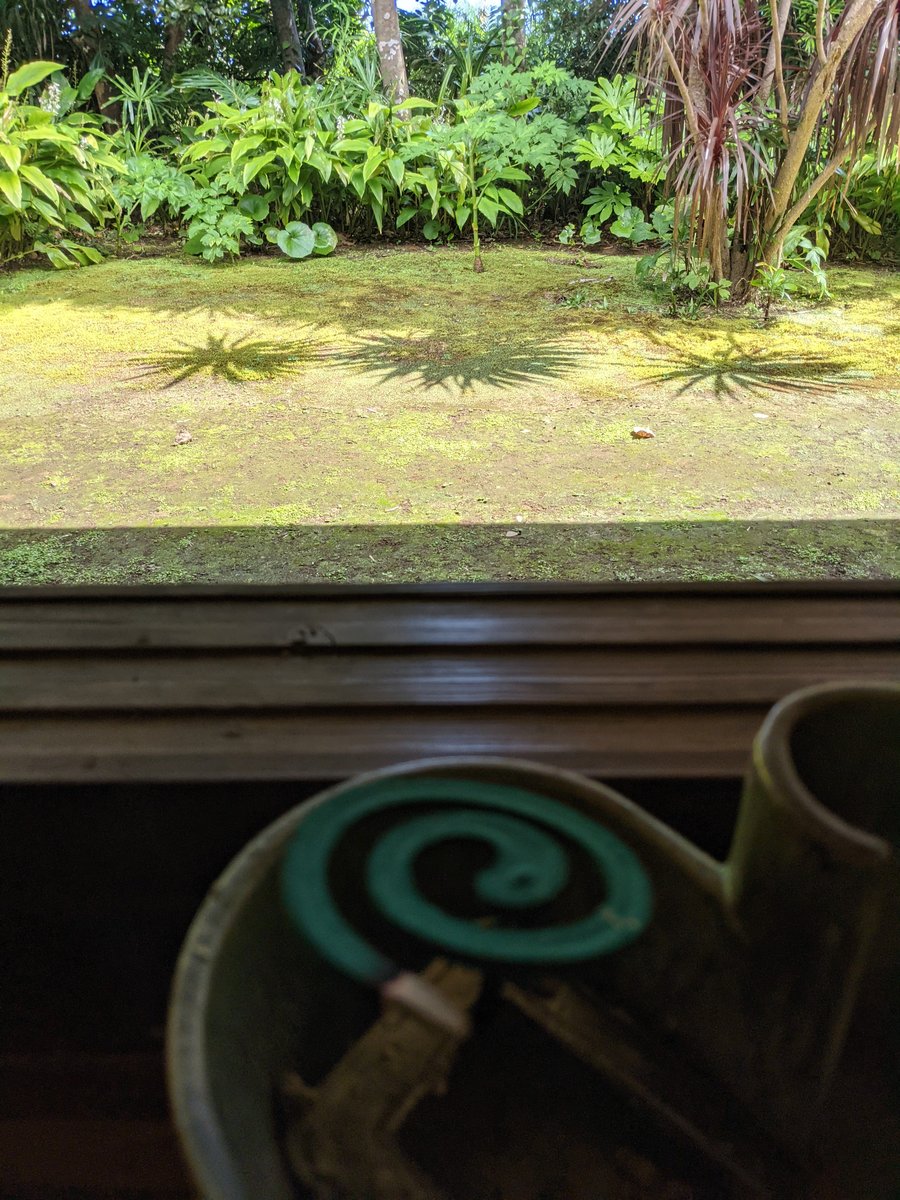 Tropical Garden View, Hachijōjima Island Tokyo photo 7