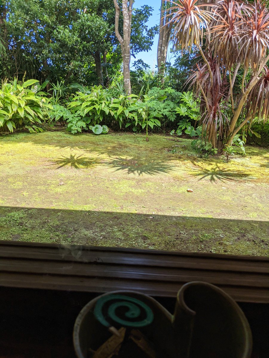 Tropical Garden View, Hachijōjima Island Tokyo photo 8