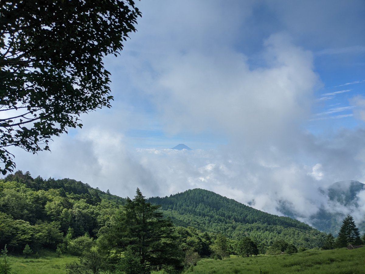 Mountain Morning in Yamanashi's Forest Valley