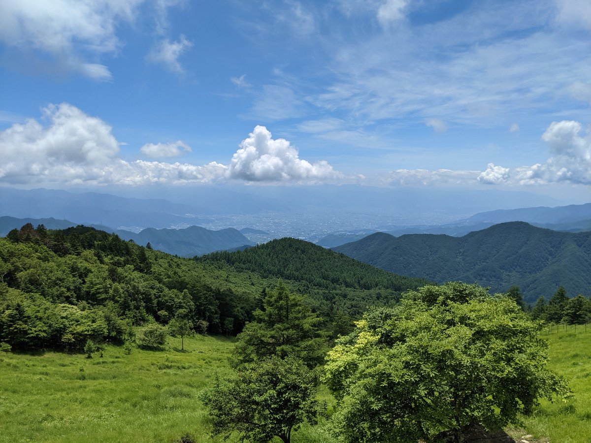 Mountain Morning in Yamanashi's Forest Valley photo 2