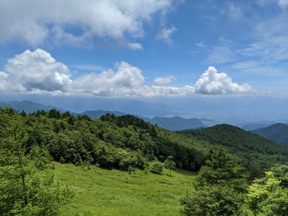 Mountain Morning in Yamanashi's Forest Valley photo 3