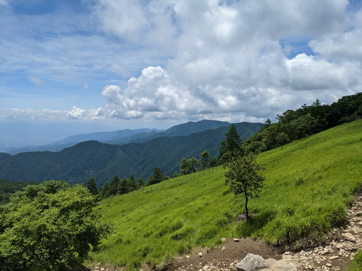 Mountain Morning in Yamanashi's Forest Valley photo 4