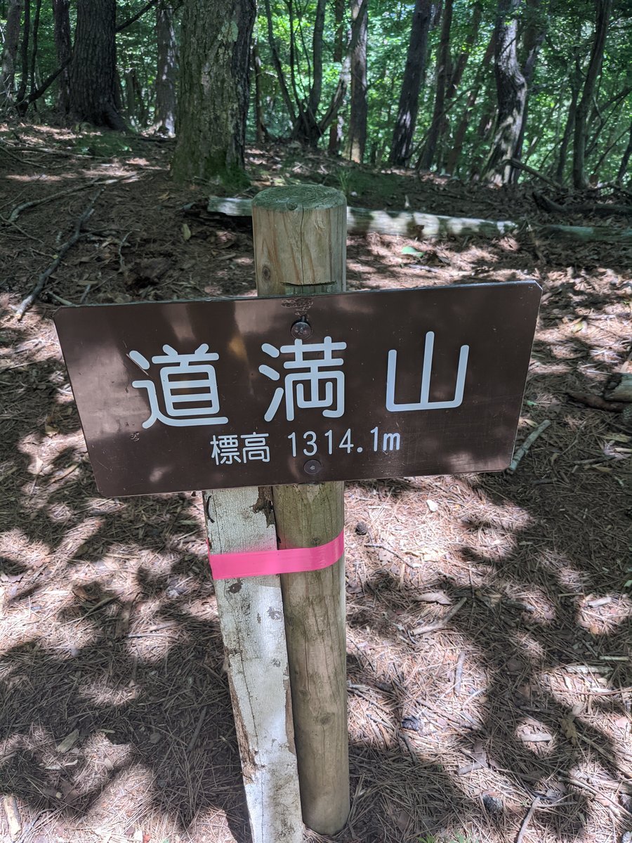 Mt. Dōman Summit, Yamanashi — Alpine Forest at 1,314m