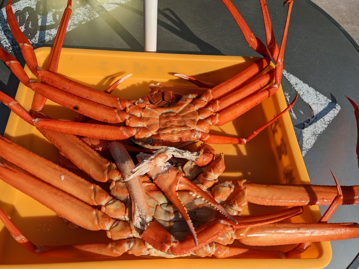 Fresh Red Crabs at Nō, Itoigawa