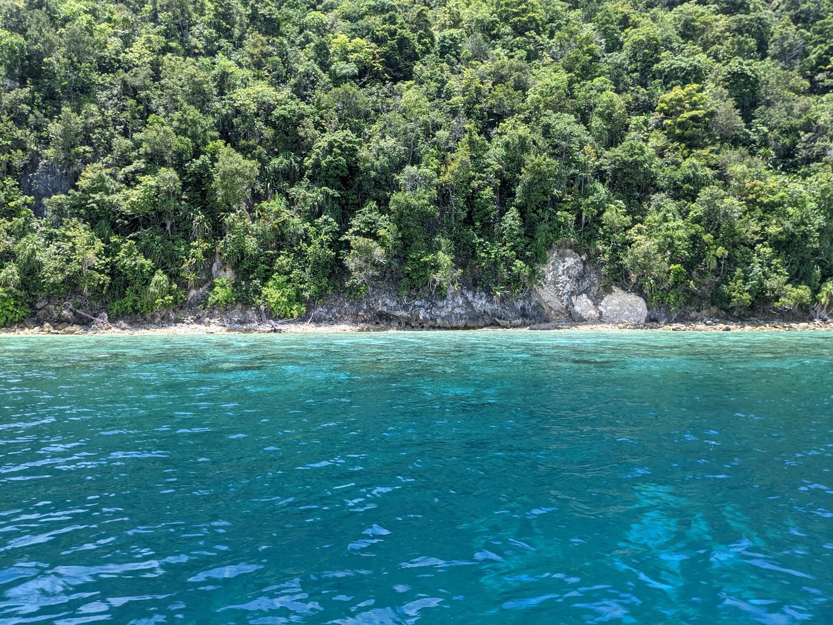 Yenbuba's Turquoise Waters, Raja Ampat photo 2