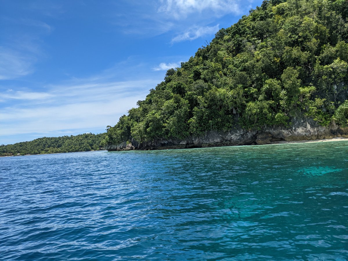 Yenbuba's Turquoise Waters, Raja Ampat photo 3