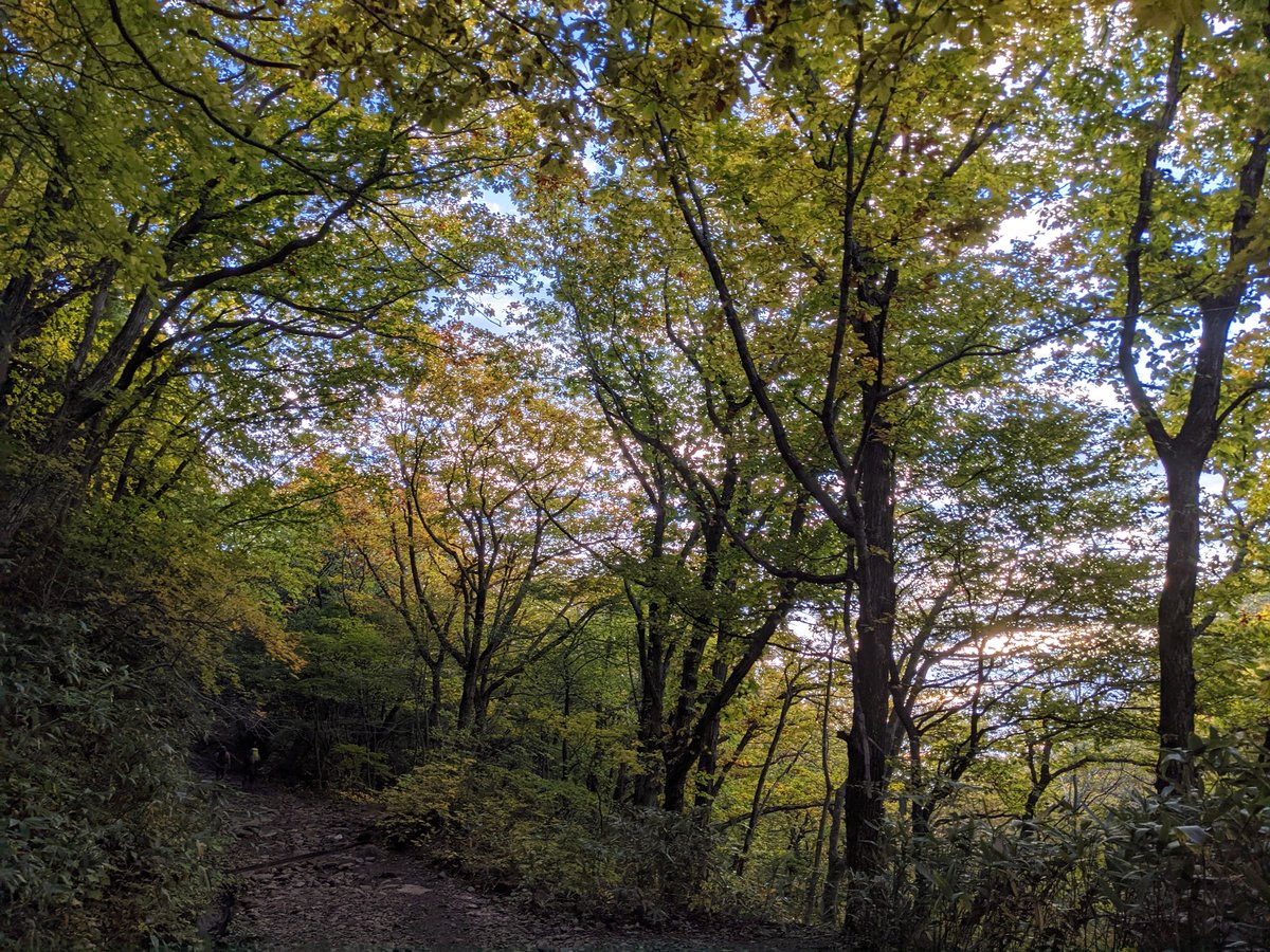 Autumn Forest Walk in Nagata, Nihonmatsu, Fukushima photo 3