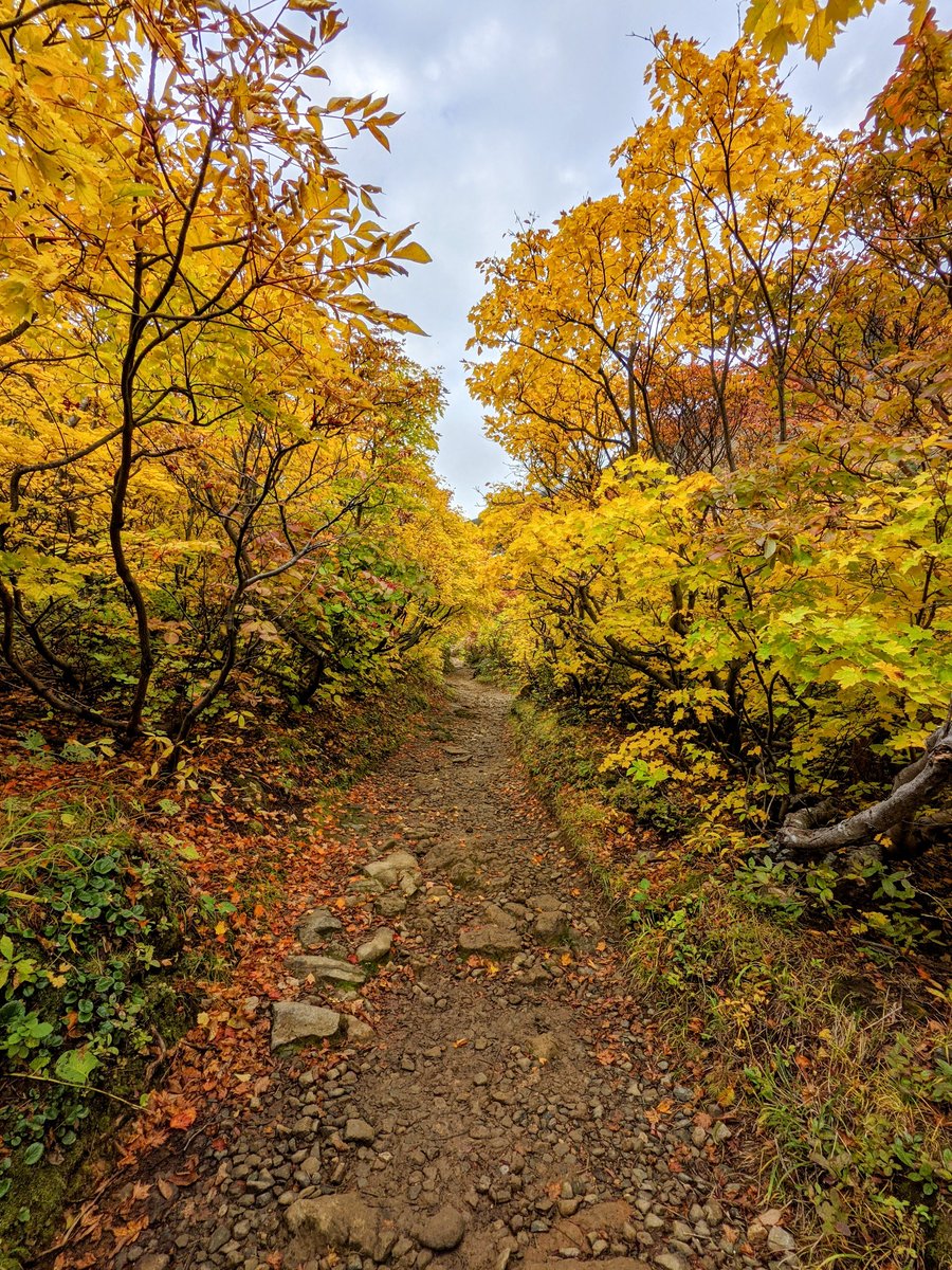 Mt. Adatara Autumn Trail, Nihonmatsu Fukushima