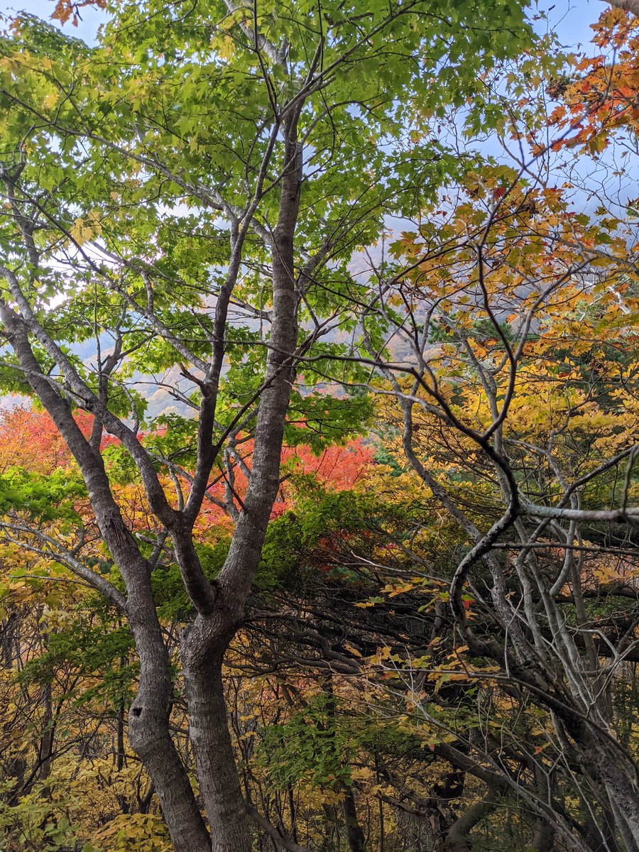 Autumn Foliage in Inawashiro, Fukushima