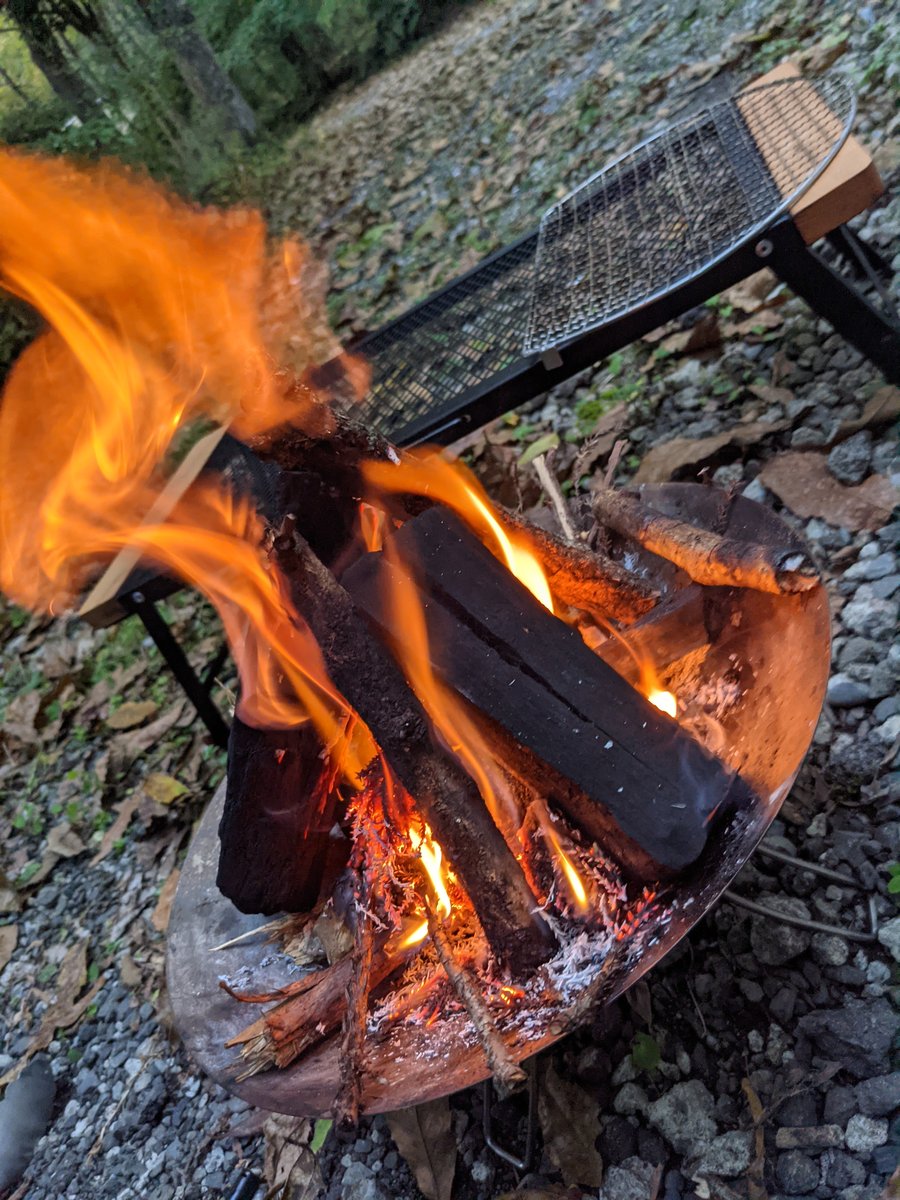 Campfire Cooking at Kawazu Wasabi Field, Shizuoka