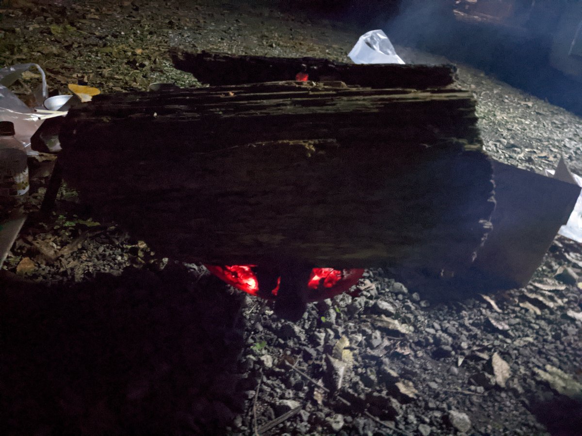 Campfire Cooking at Kawazu Wasabi Field, Shizuoka photo 7