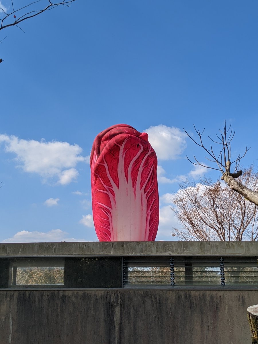 Yusui's Polka-Dot Pumpkin Sculptures, Kagoshima photo 2
