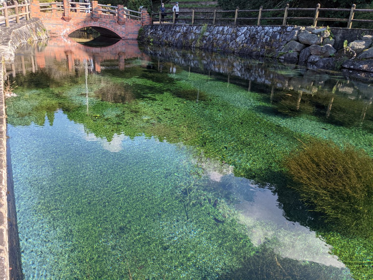 Crystal-Clear Spring Water in Yusui, Kagoshima