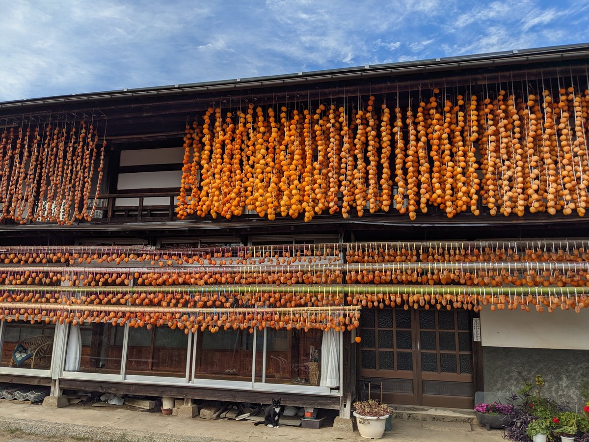Koshu Shrine Gate, Yamanashi — Autumn Colours photo 3