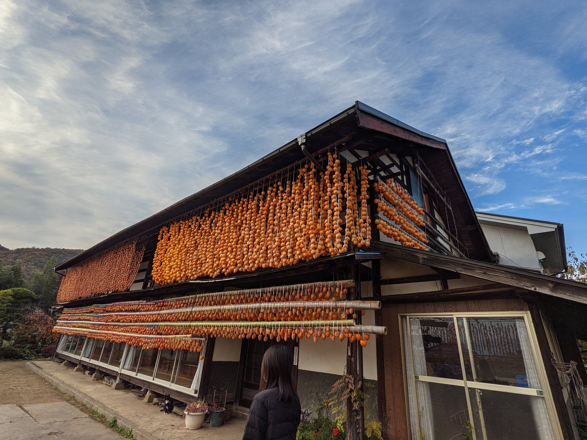 Koshu Shrine Gate, Yamanashi — Autumn Colours photo 4