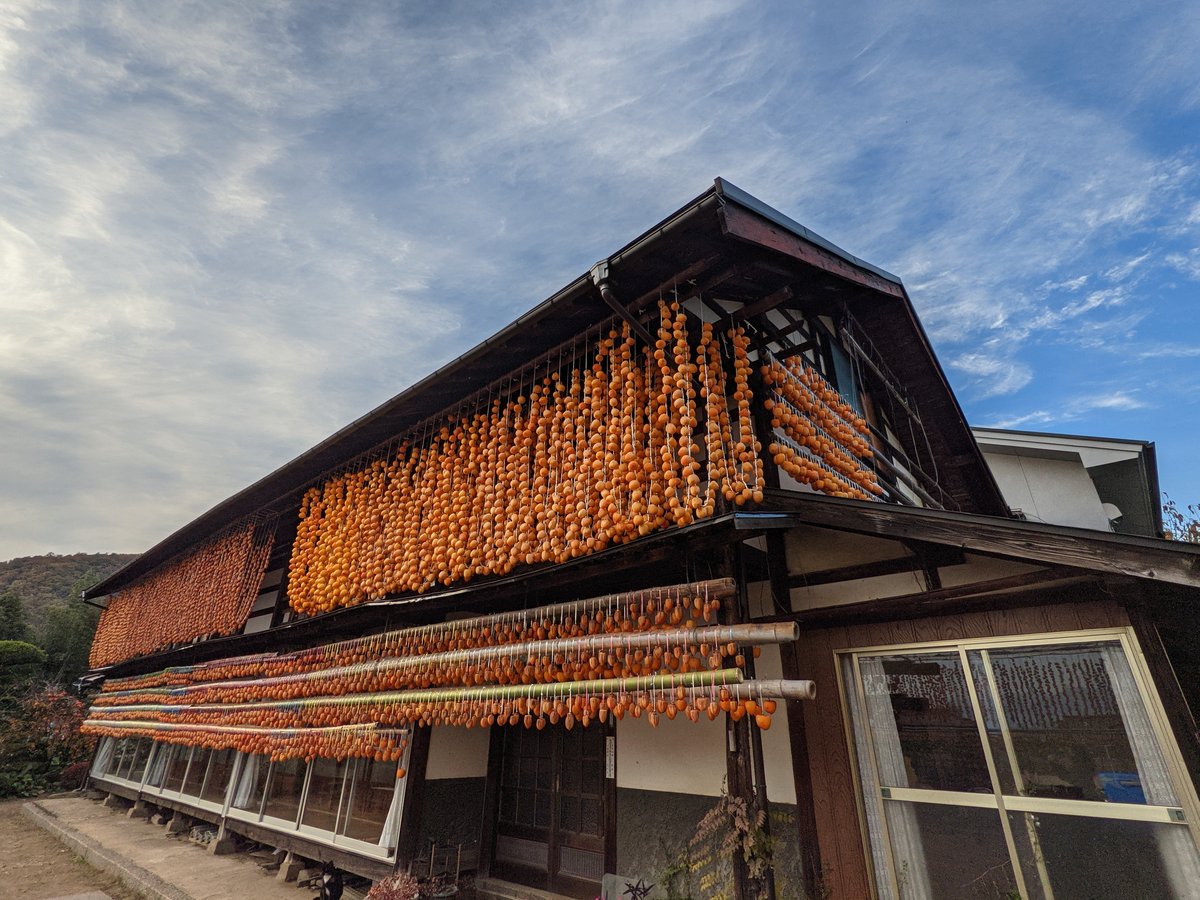 Koshu Shrine Gate, Yamanashi — Autumn Colours photo 5