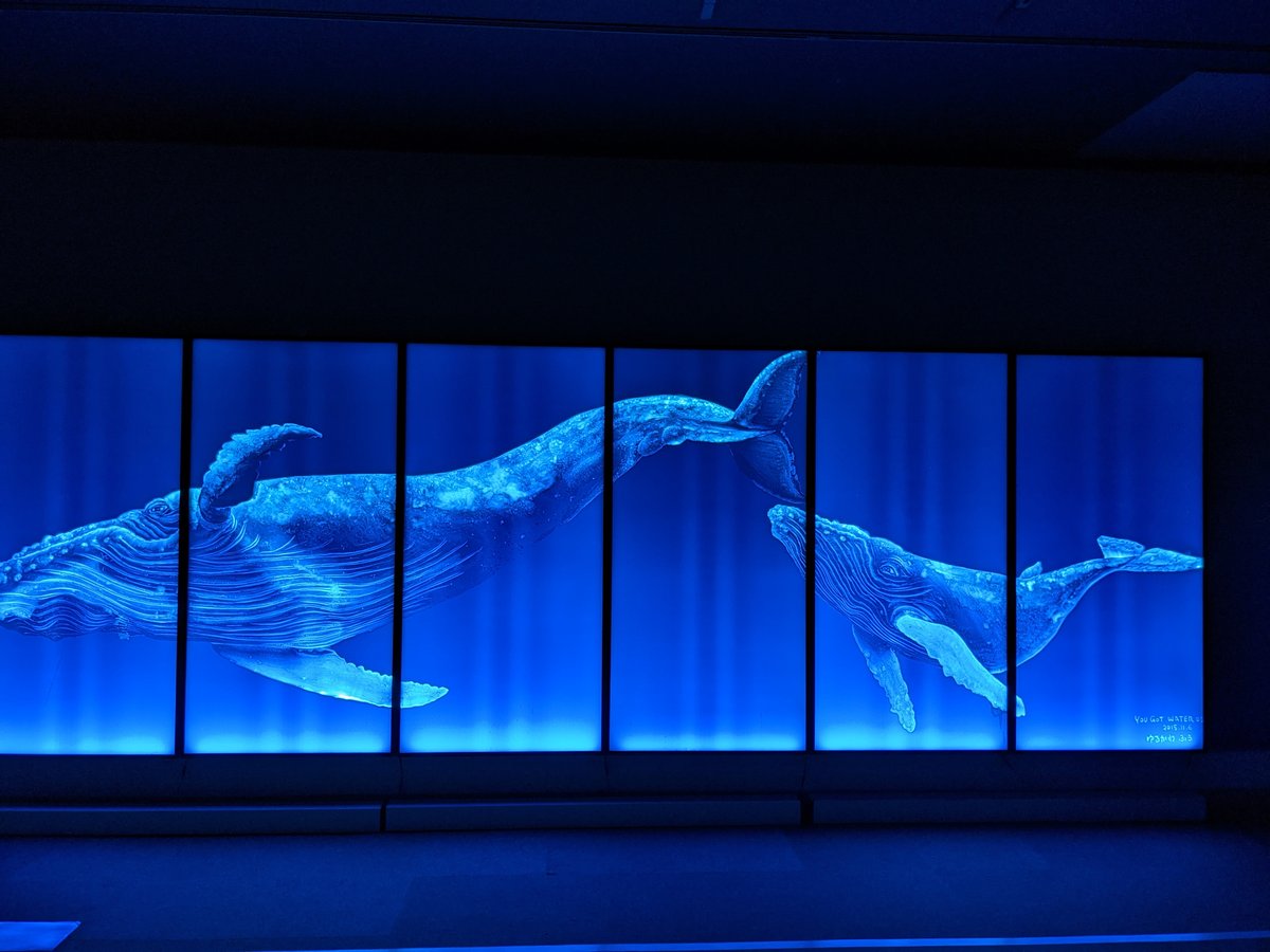 Yokohama's Light Art Museum: 'Yurukawa Fuu's Cosmic World' photo 5