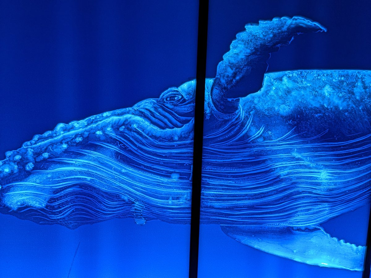 Yokohama's Light Art Museum: 'Yurukawa Fuu's Cosmic World' photo 6