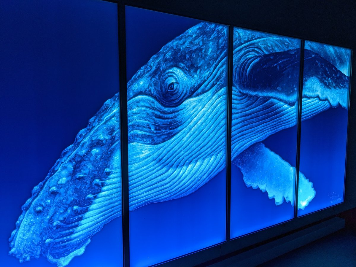 Yokohama's Light Art Museum: 'Yurukawa Fuu's Cosmic World' photo 7