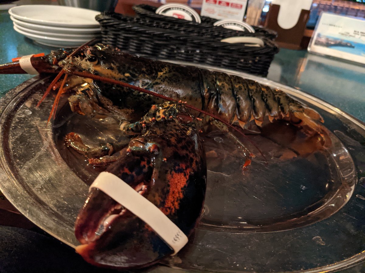 Fresh Lobster Dinner in Zushi, Kanagawa