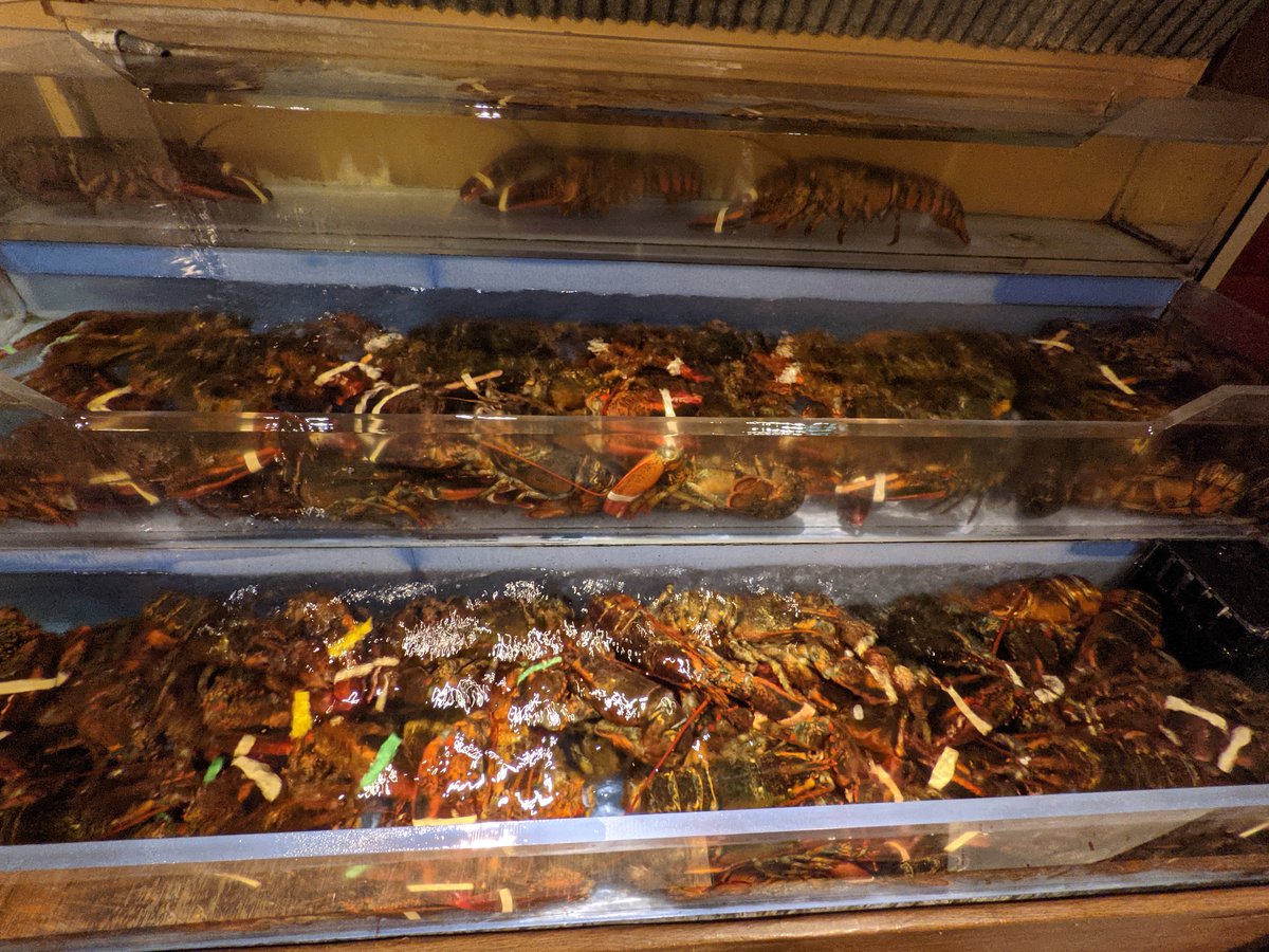Fresh Lobster Dinner in Zushi, Kanagawa photo 6