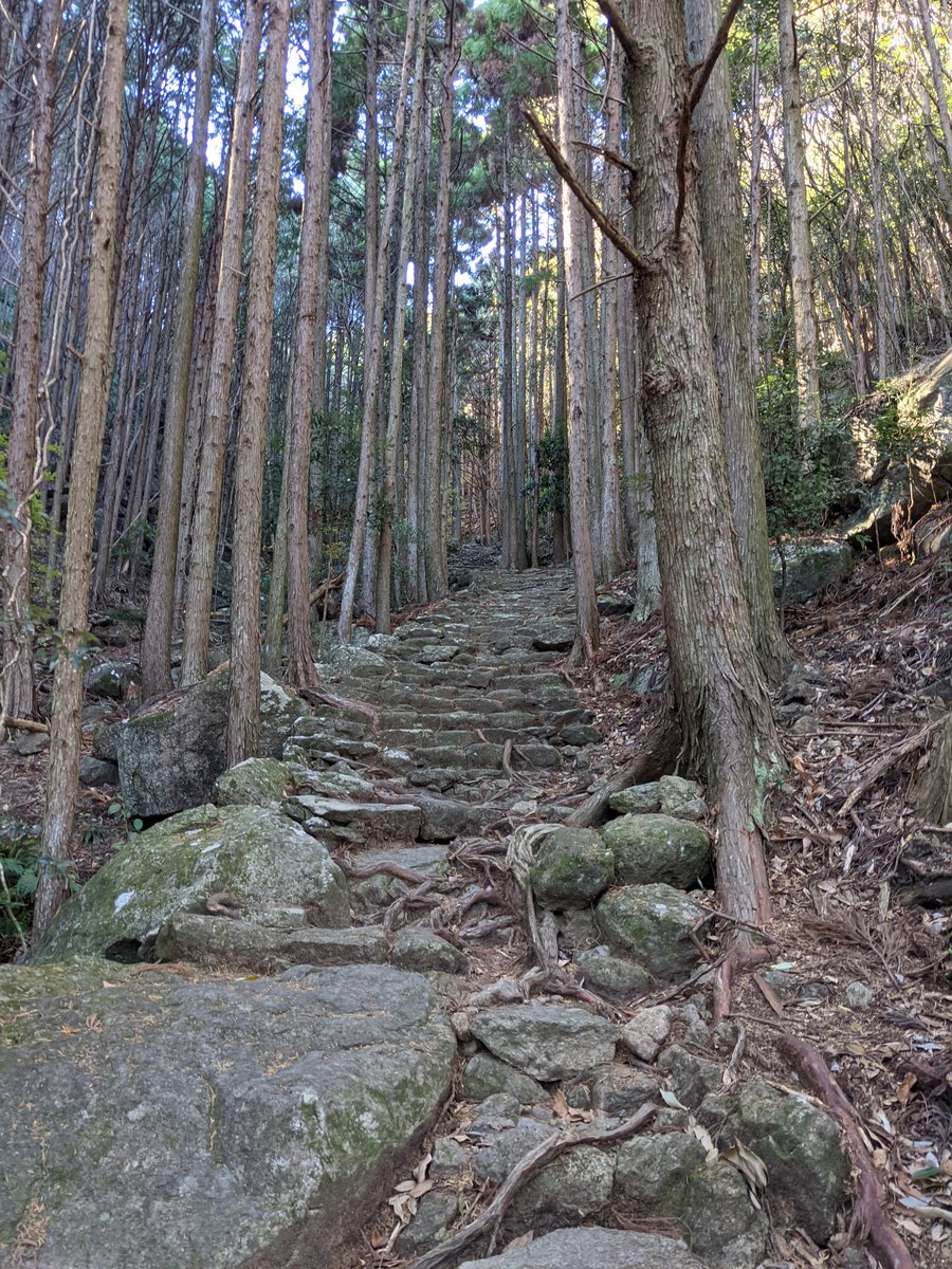 Kumano Forest Trail, Odomaricho, Mie photo 2