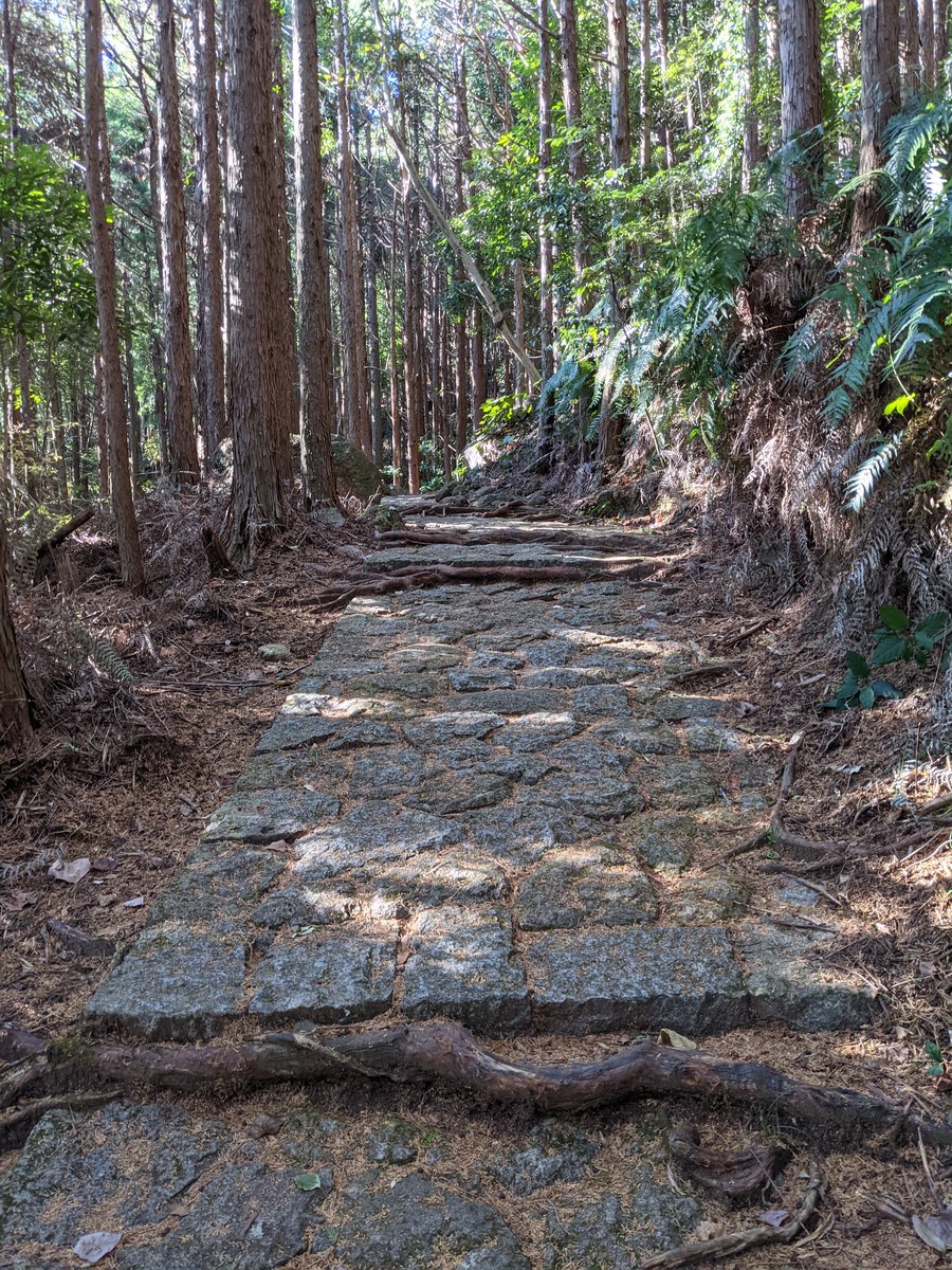 Kumano Kodo Trail, Mie — Path to World Heritage photo 3