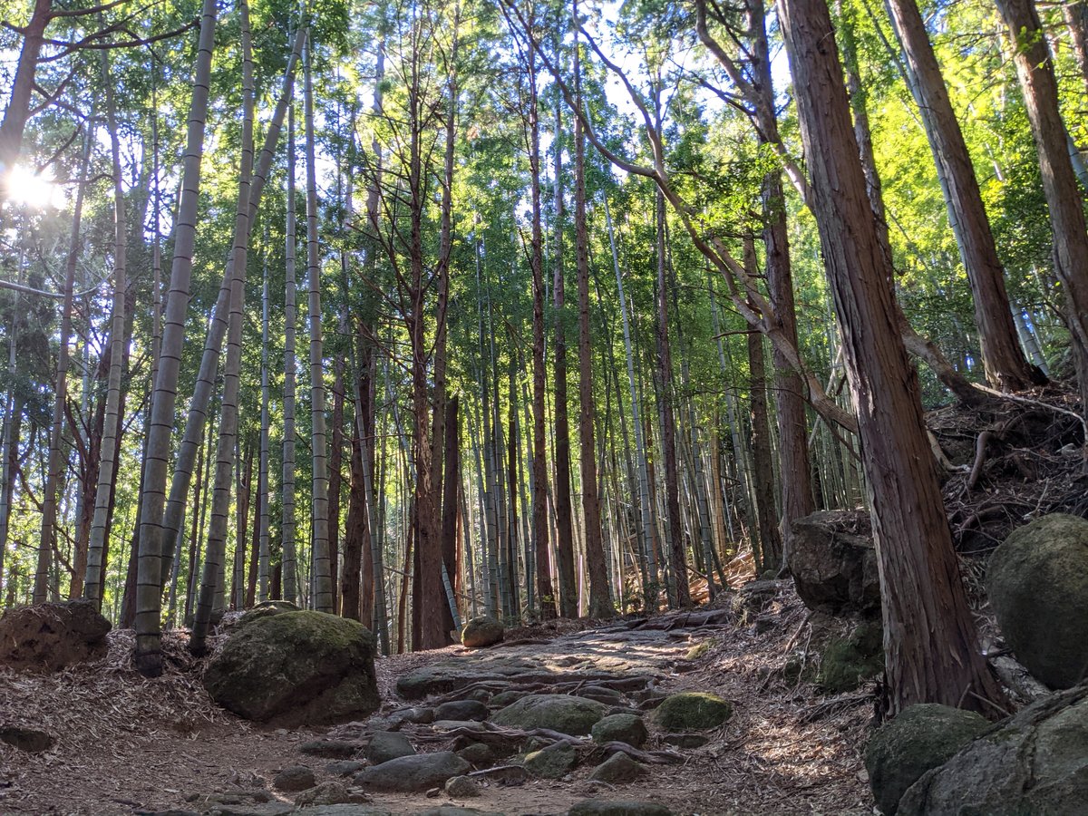 Kumano Kodo Trail, Mie — Path to World Heritage photo 4