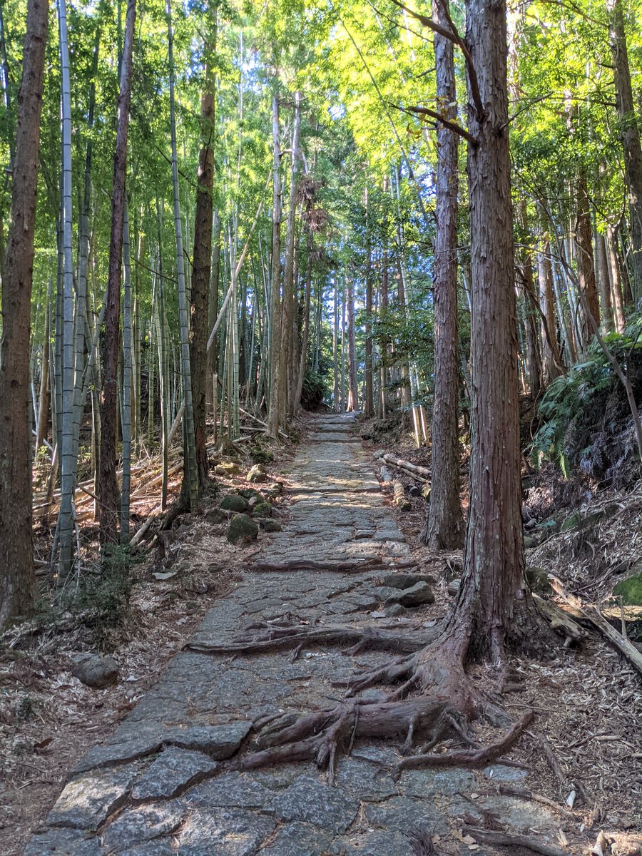 Kumano Kodo Trail, Mie — Path to World Heritage photo 5