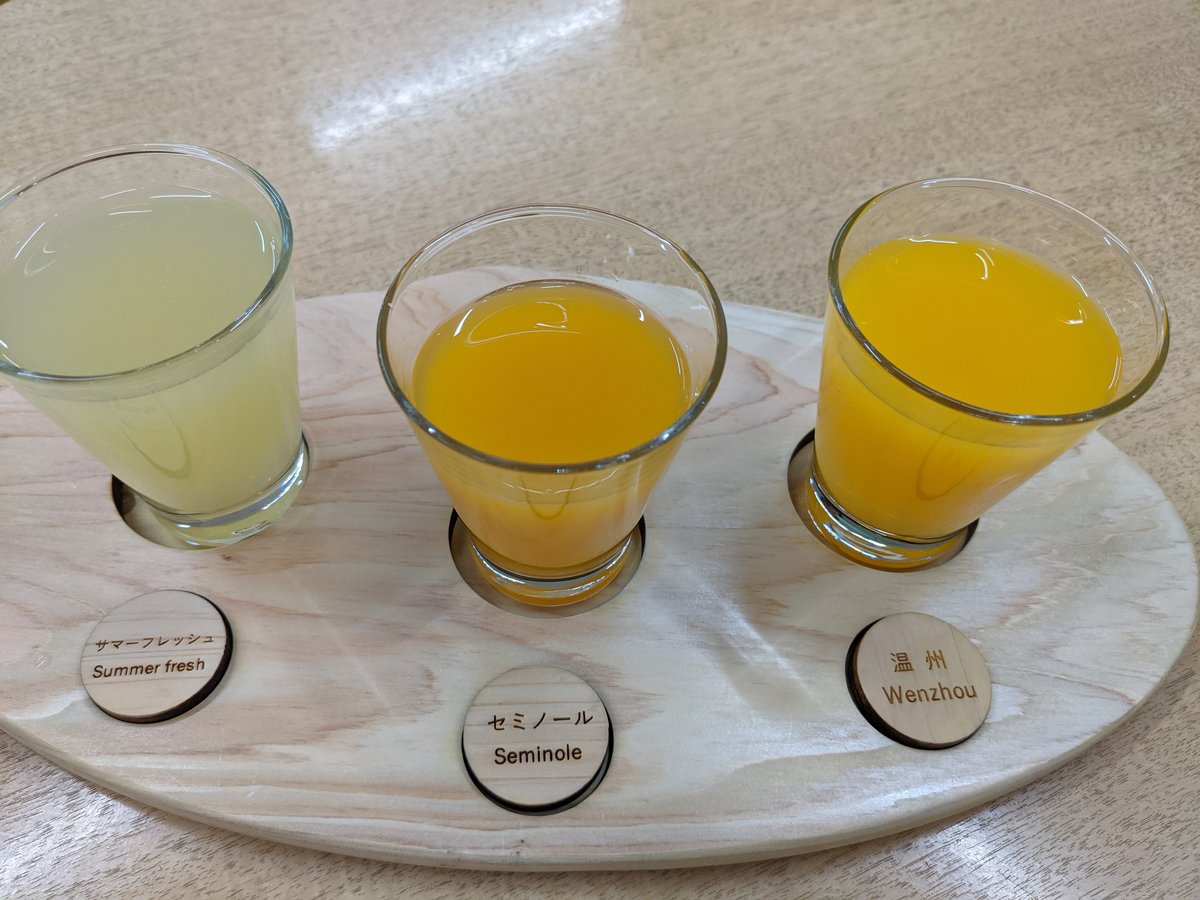 Citrus Juice Tasting in Atawa, Mihama, Mie