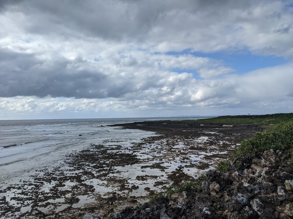Kyan Cape's Ancient Coral Reef Cliffs, Okinawa photo 6